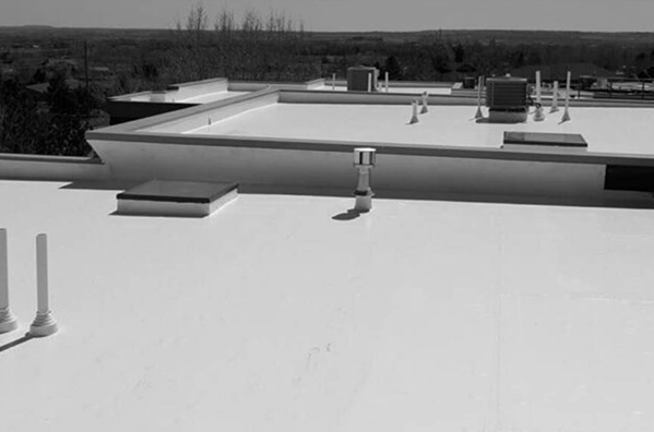 Commercial Flat Roof4